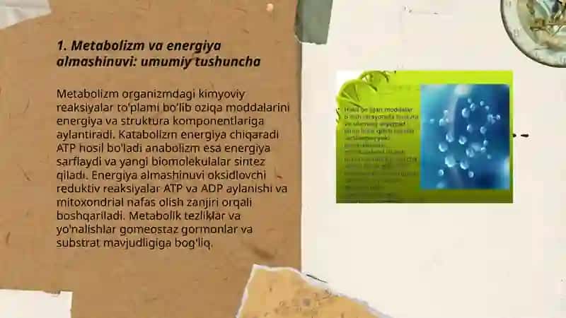 Metablizm va energiya almashinuvi 3