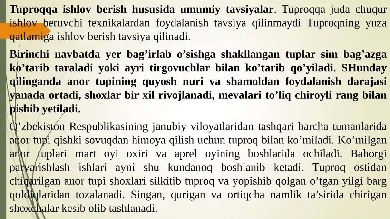 Yosh anorzorlarga ishlov berish 3