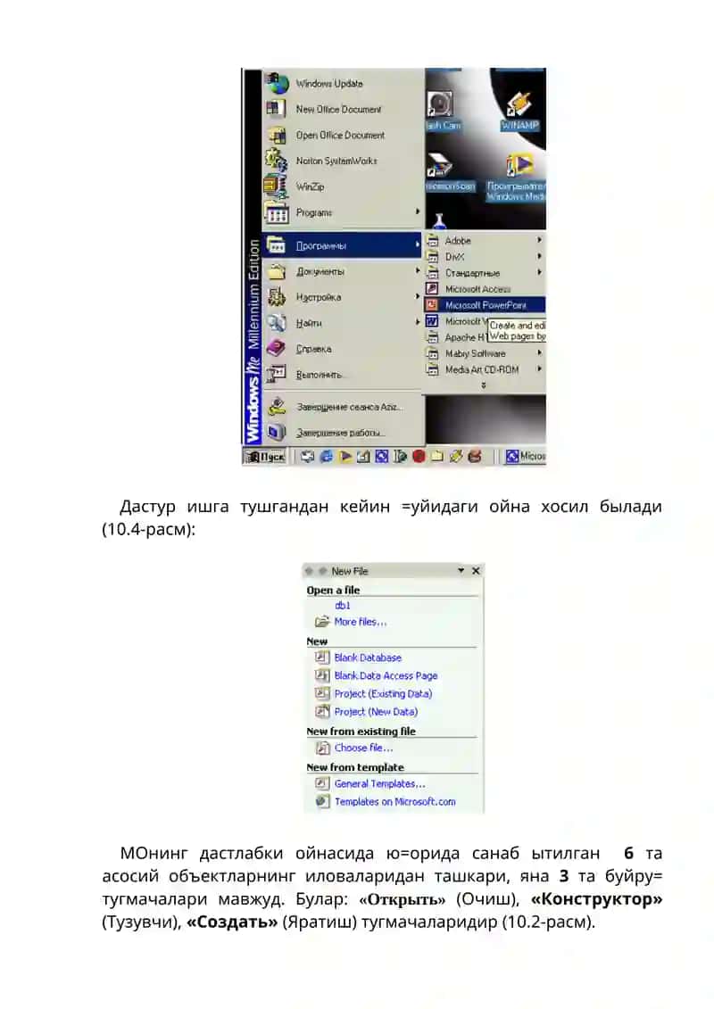 Microsoft ACCESS 3