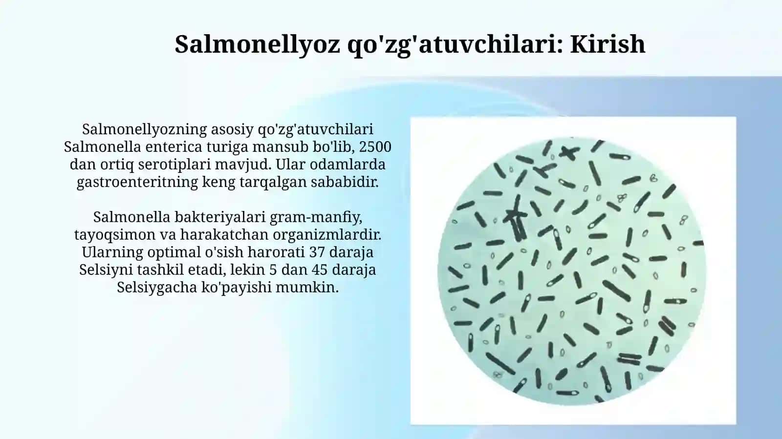 Salmonella bilan Botulizmkuzgatuvchilarixaqida 3