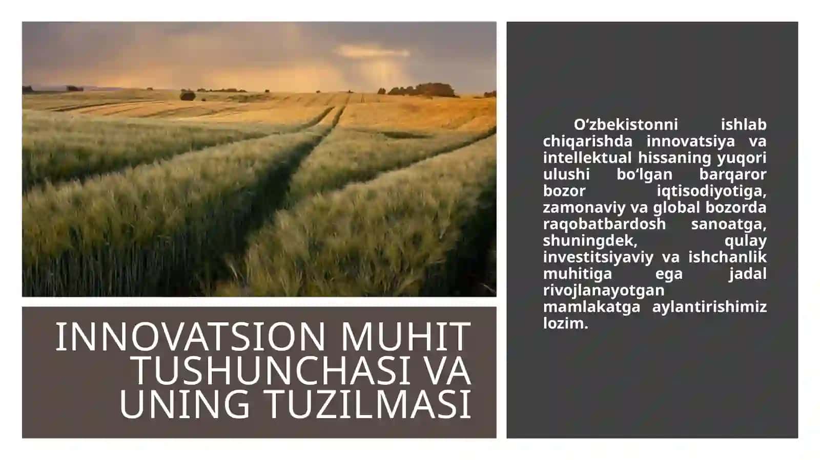 OʻZBEKISTONNING MILIY INNOVATSION TIZIMI 3