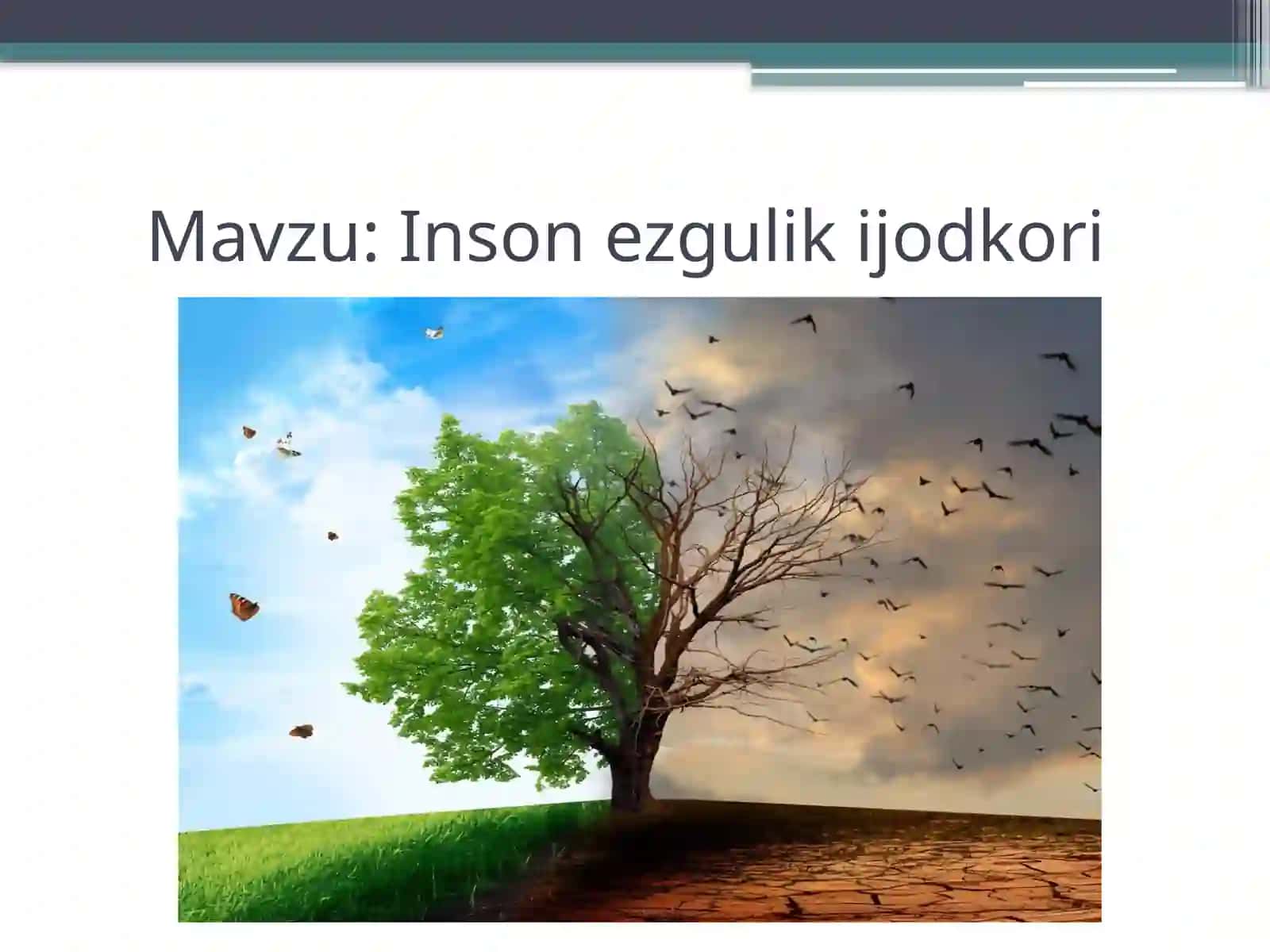 Inson ezgulik ijodkori 3