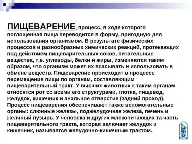 Методические материалы-презентации лекций по физиологии 3