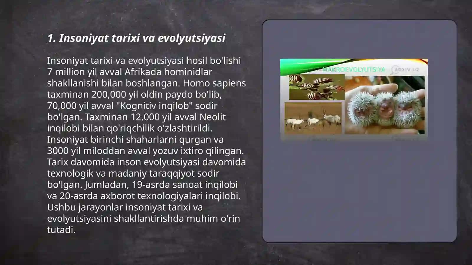 Insoniyat evolyutsiyasi va antropogenez jarayonlari 3