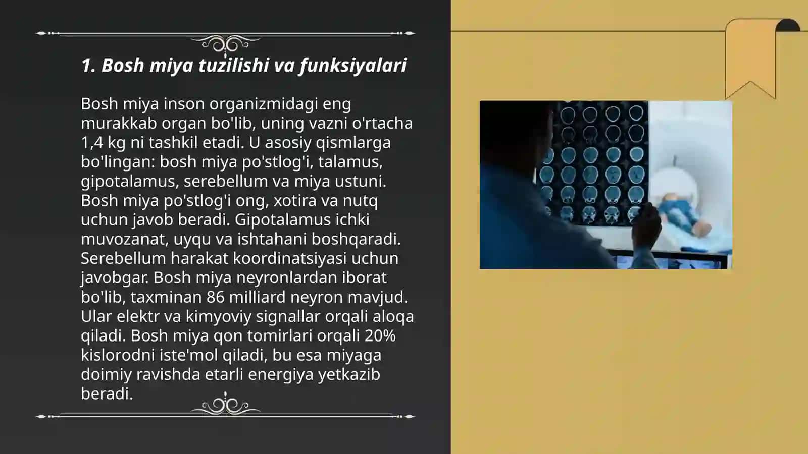 Bosh miya. Bosh miya tomografiyasi 3
