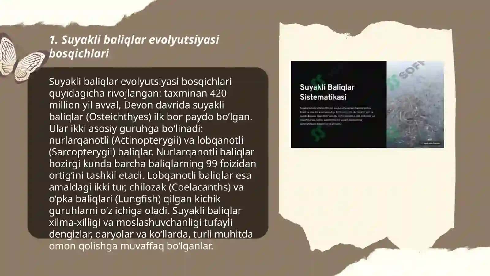Suyakli baliqlarning kelib chiqishi evolyutsiyasi va sistematikasi 3