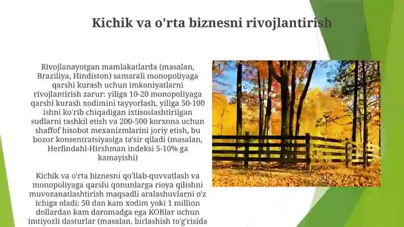 Rivojlangan mamlakatlarda manopoliyaga qarshi siyosat borasidagi tajribalar 3