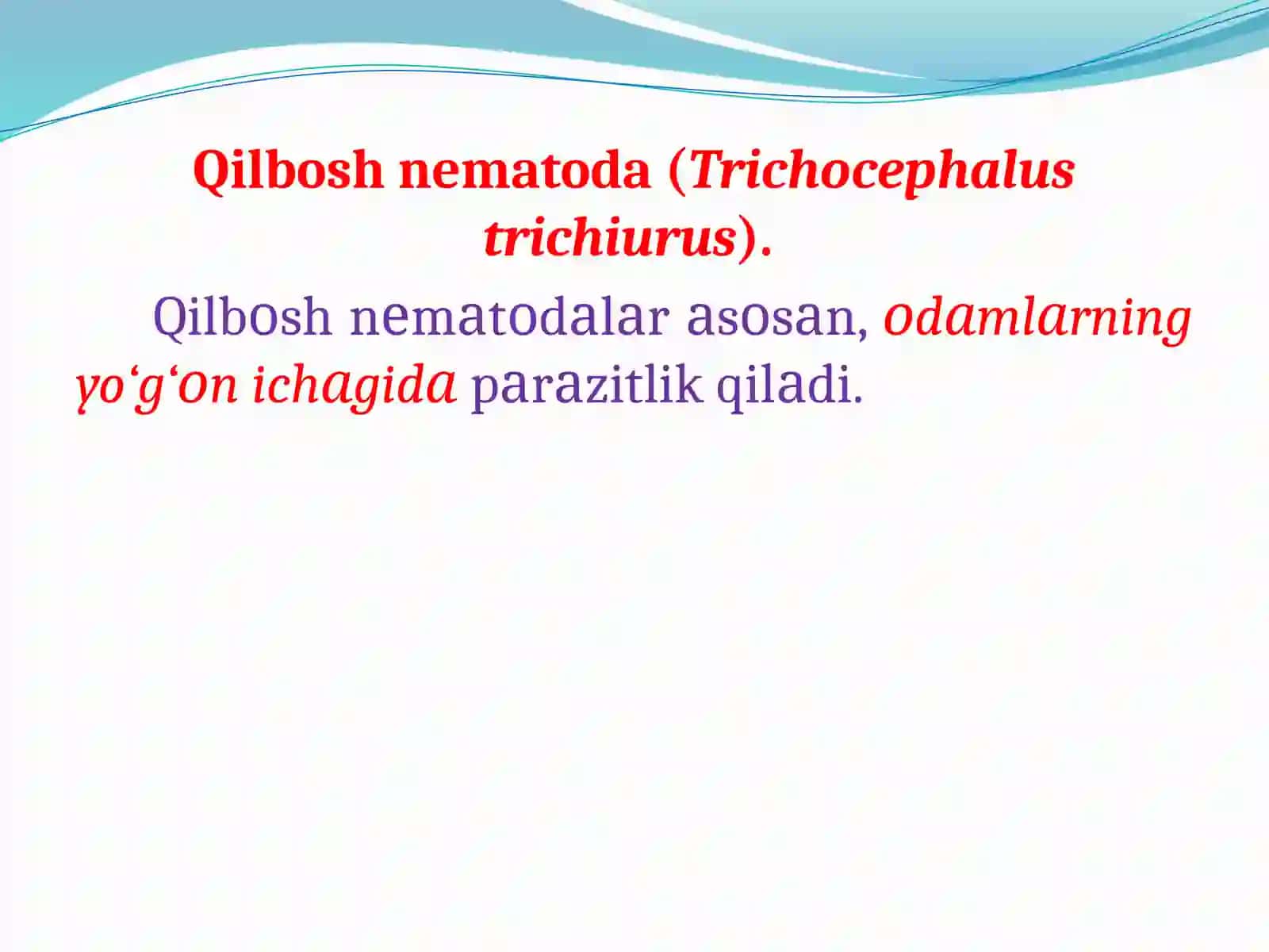 Tikanboshlilar (Acanthocephala) tipi 3