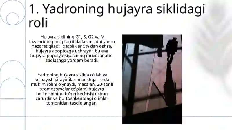Yadroning tarkibiy qismlari,ultrastrukturaviy tuzilishi,tarkibi,xossalari,vazifalari 3