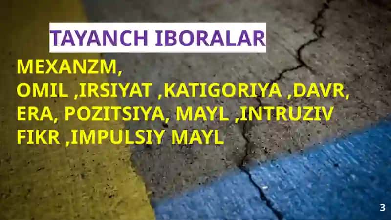 SHAXS FAOLLIGI VA IJTIMOIY XULQ MOTIVLARI 3