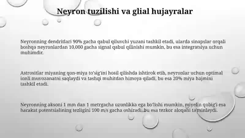 Neyronlar fiziologiyasi 3