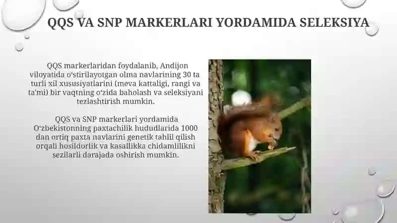 Genetik Markerlardan Foydalanishning Asoslari 3