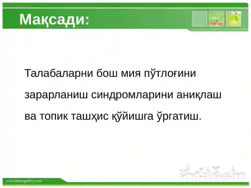 Бошмияпўстлоғи 3