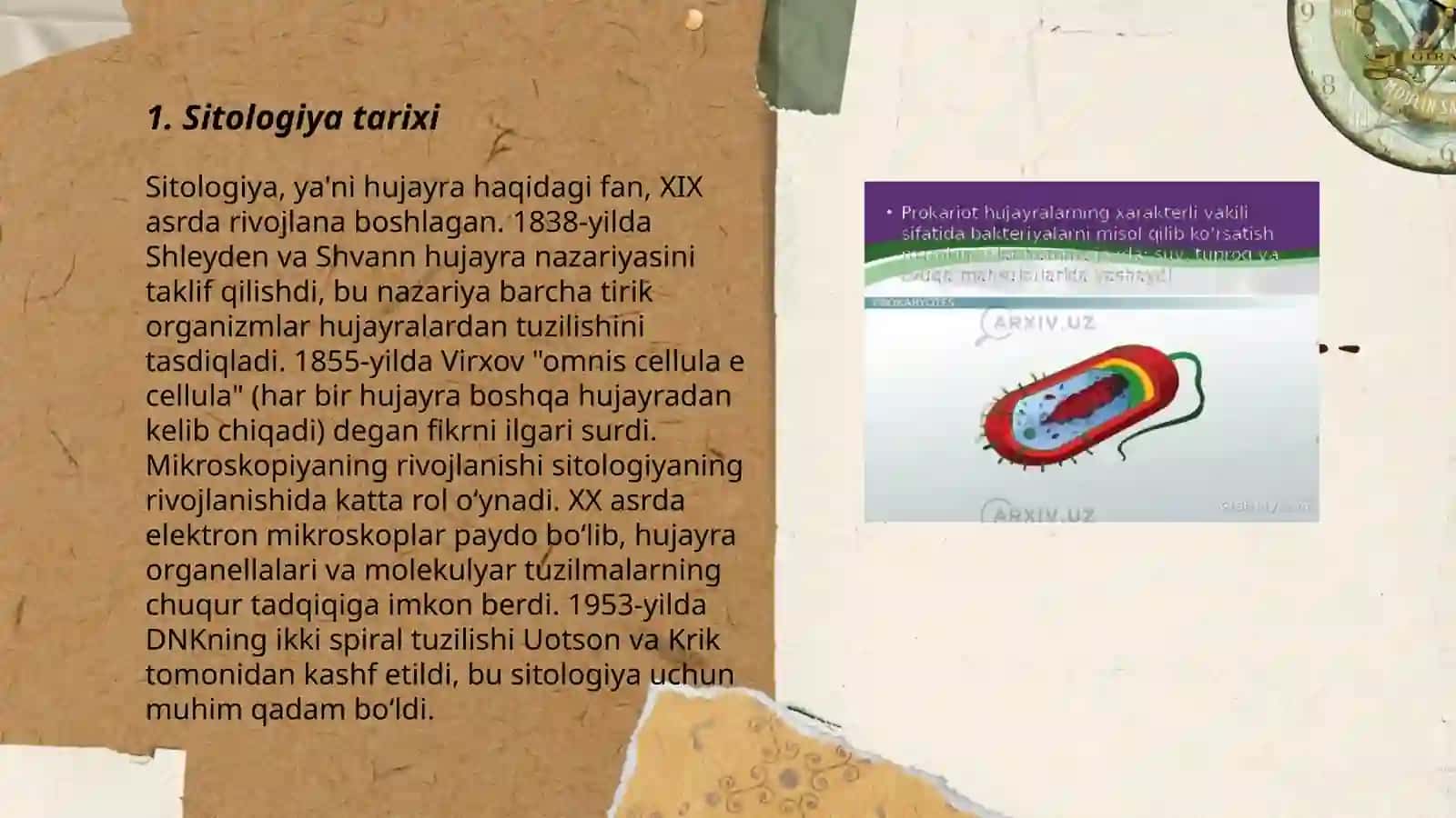 Sitologiya.Optik asboblarni tibbiyotda qo'llanilishi.Viruslar.Prokariotlar Yusupov Azizbek 3