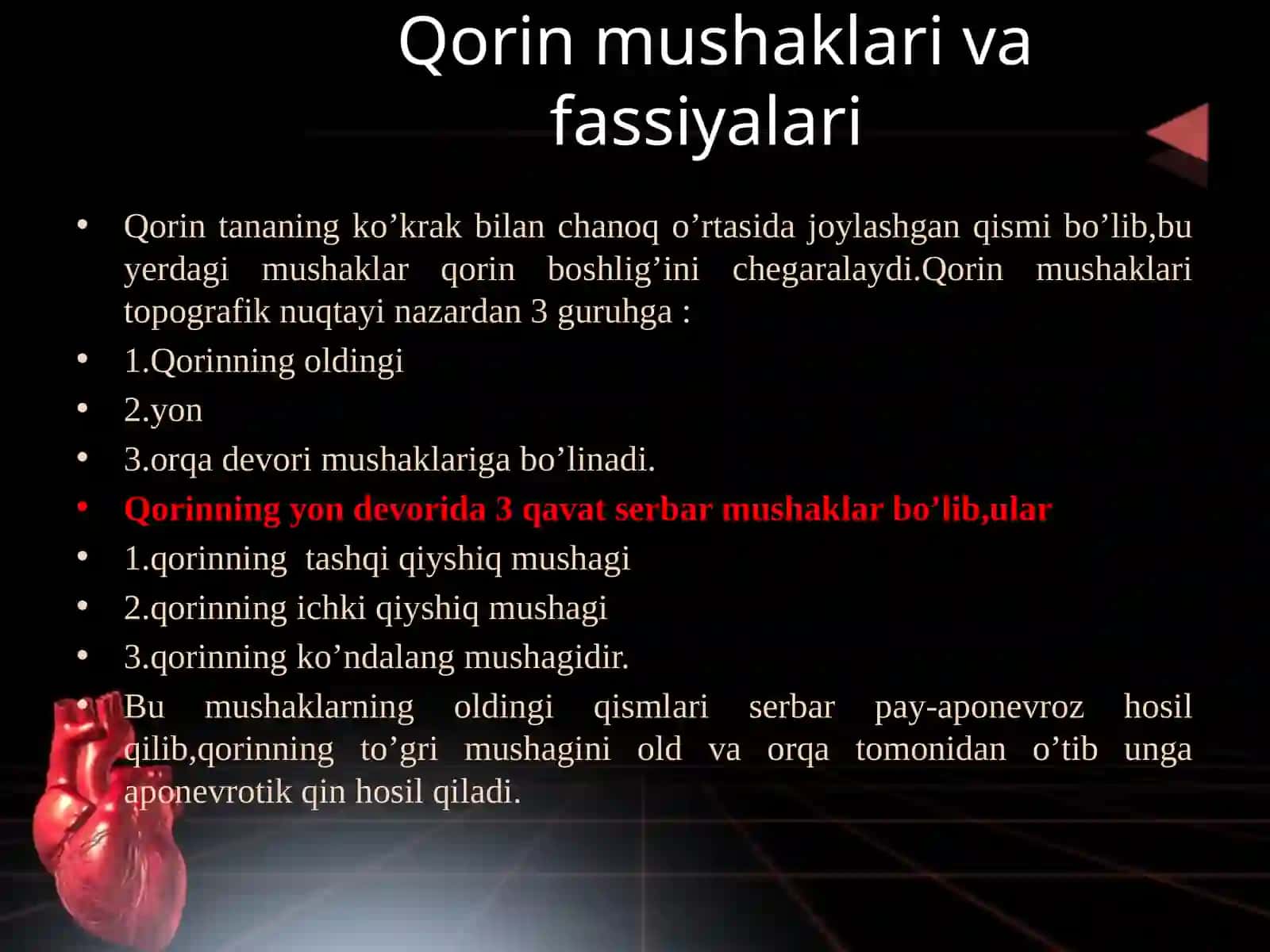 Mushaklar tizimi. (Qorin mushaklarini tuzilishi,joylashishi,vazifasi). 3