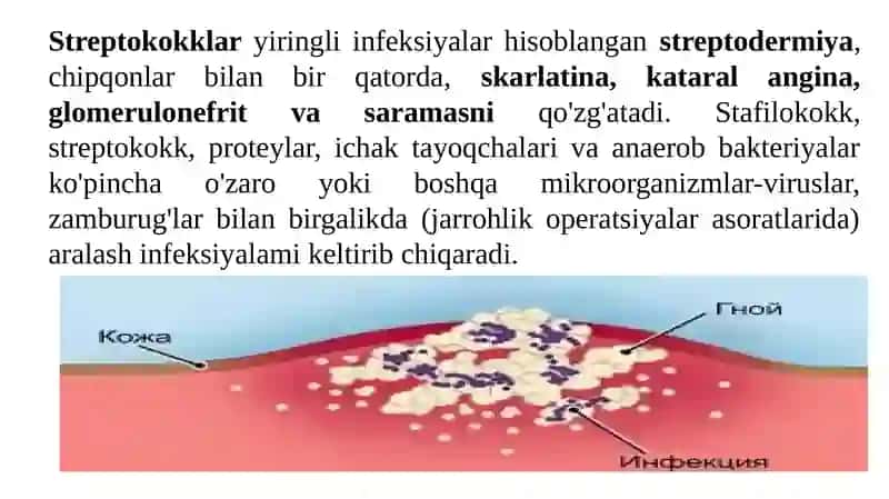 Yiringli-yallig'lanish kasalliklarini keltirib chiqaruvchi mikroorganizmlar 3