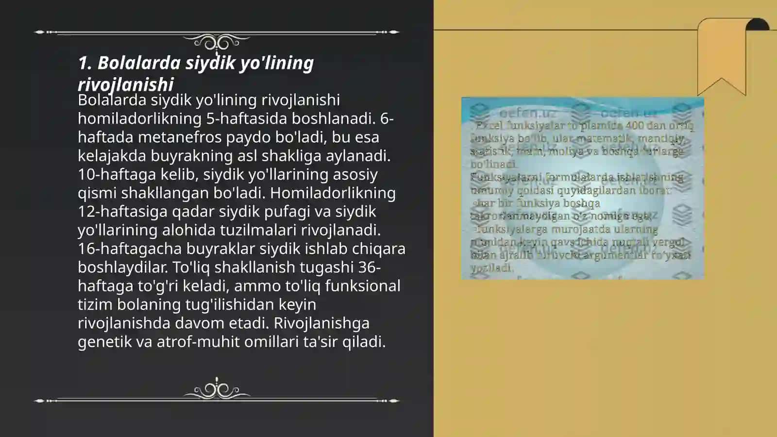 Bolalarda siydik yo'li, siydik pufagi, siydik chiqarish kanali anatomo-fiziologik hususiyatlari 3