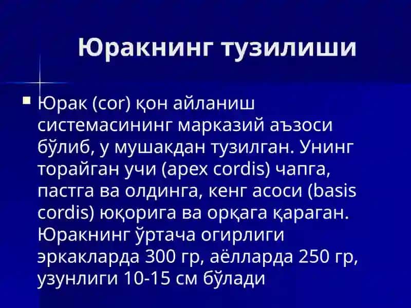 Yurak, qon aylanish doiralari, yurakning yoshga qarab o‘zgarishi 3