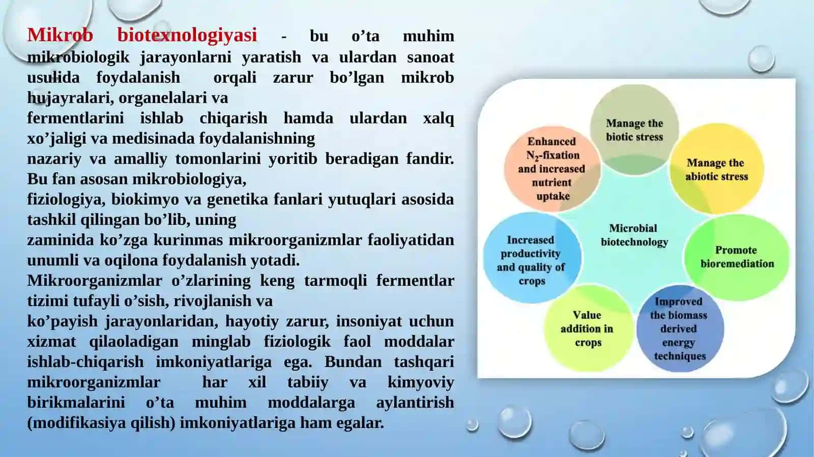 Mikrobbiotexnologiyasi 3