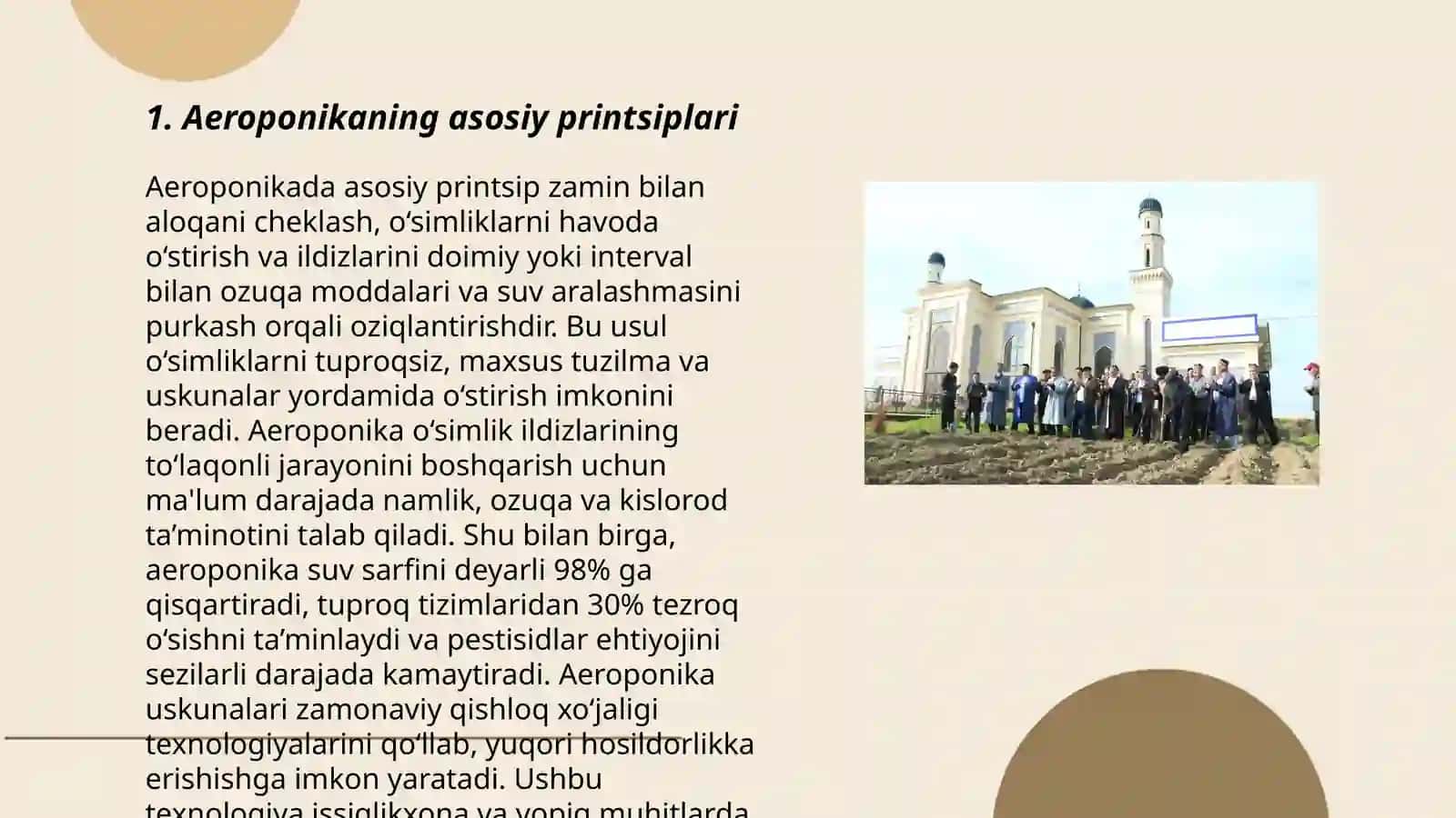 Zamonaviy issiqxonalar Aeroponika 3