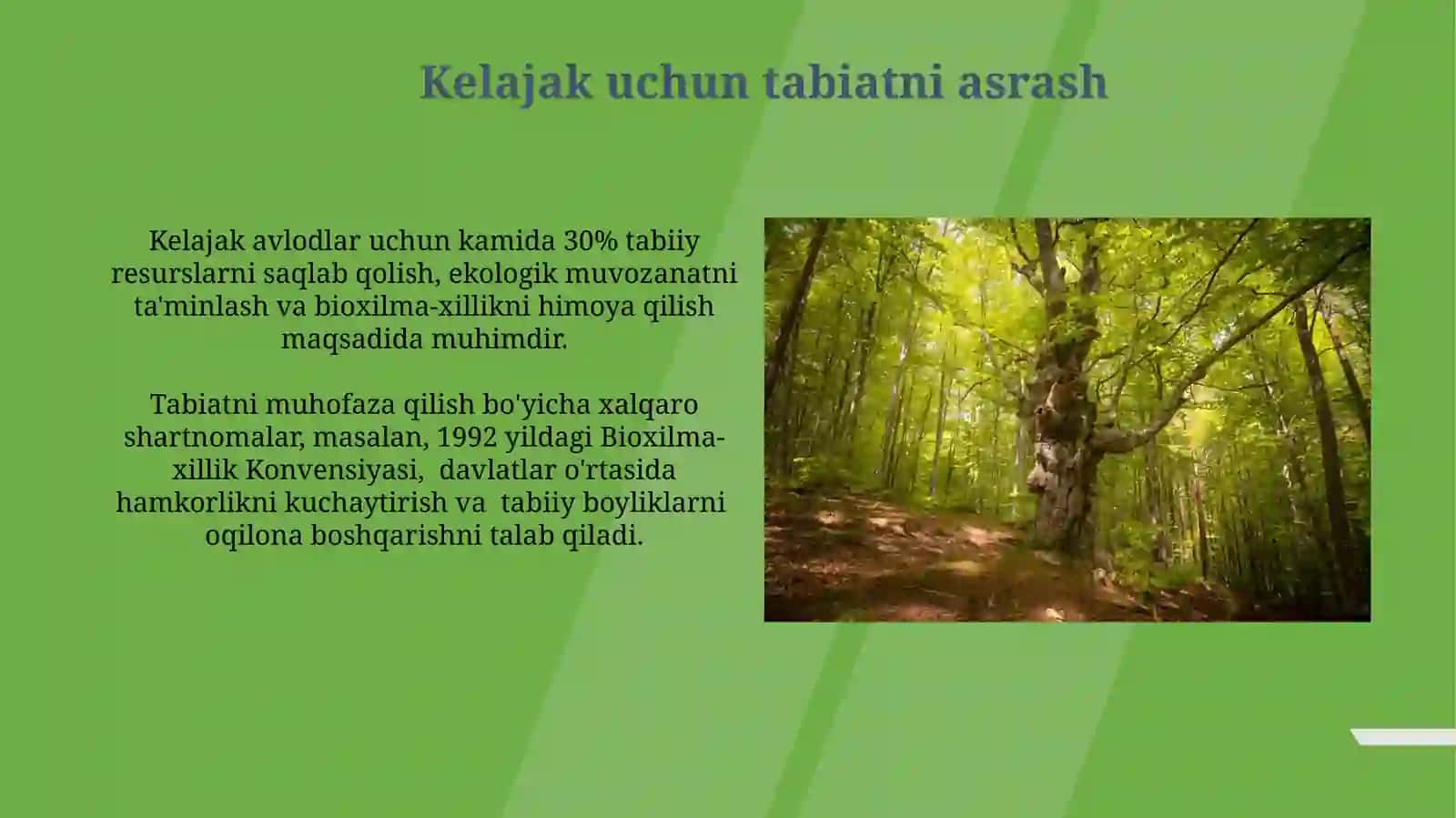 Tabiat bilan tanishishda mutafakkirlar merosidan foydalanish 3