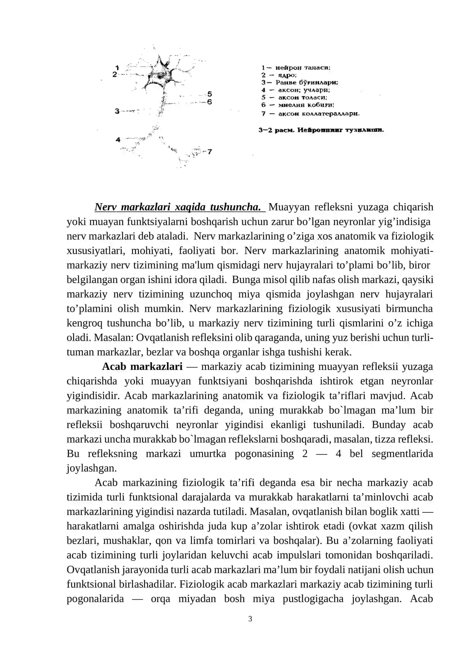 Sportchilarni asab tizimi xususiyatlari va uning rivojlanishi 3