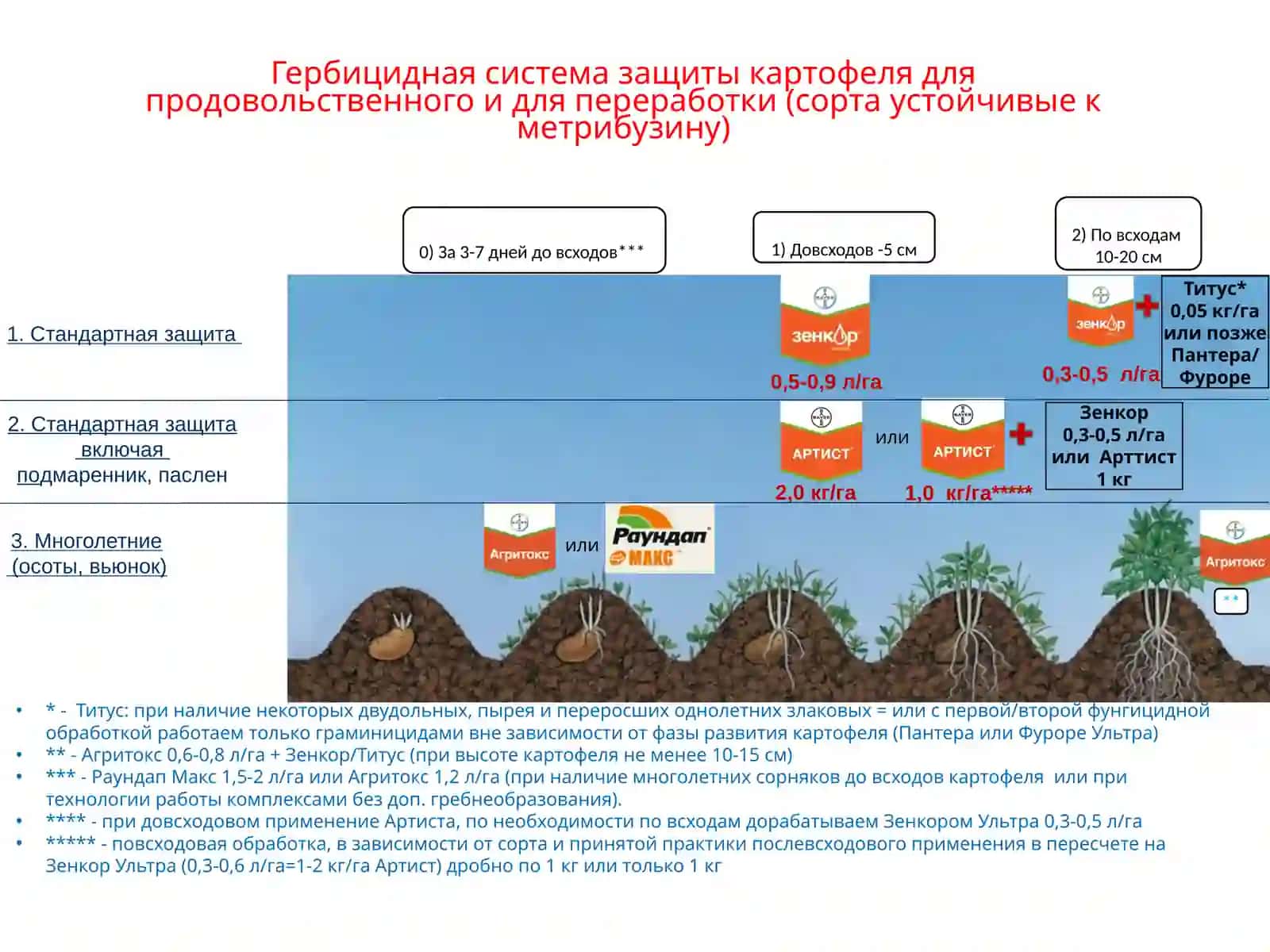 Протравители картофеля 3