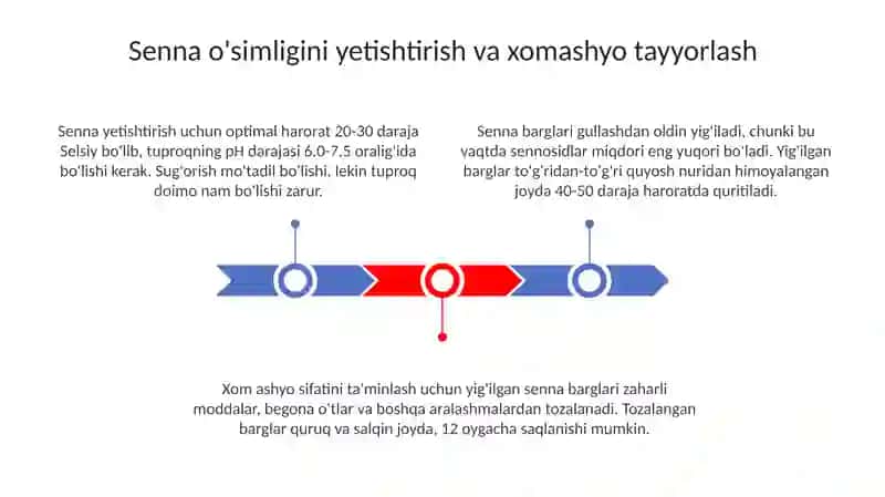 Senaj tayyorlash texnalogiyasi 3