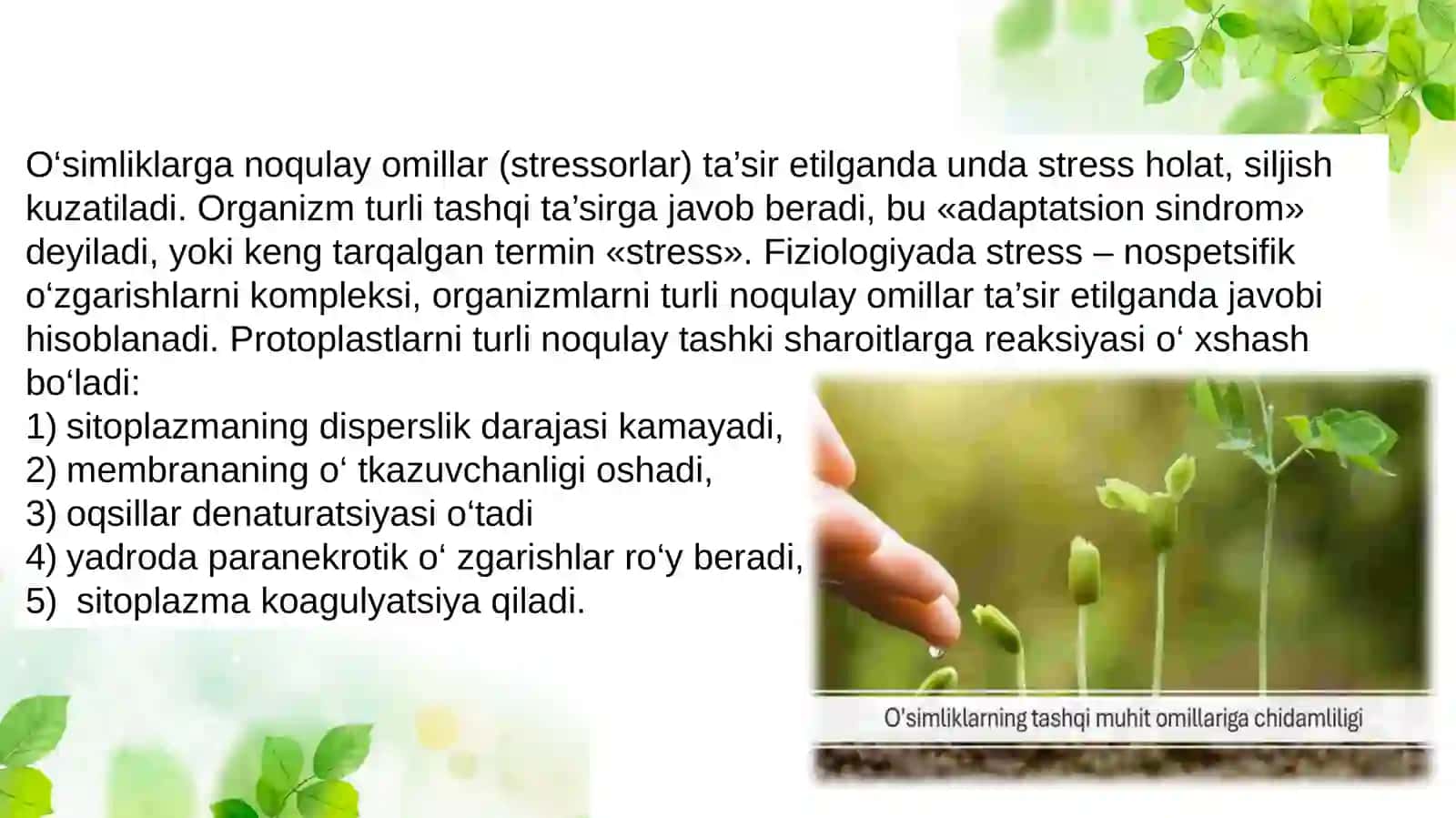 O‘simliklarno chidamliliği va stress 3
