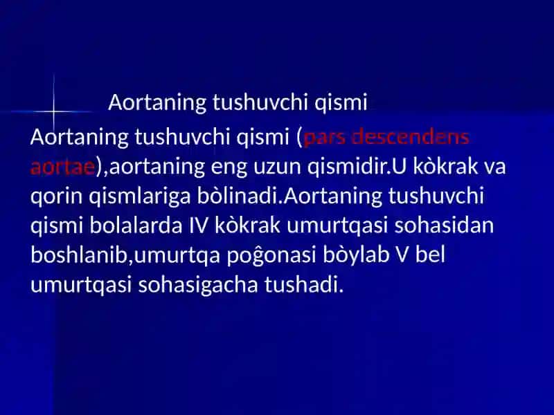 Aortaning tushuvchi qismi 3