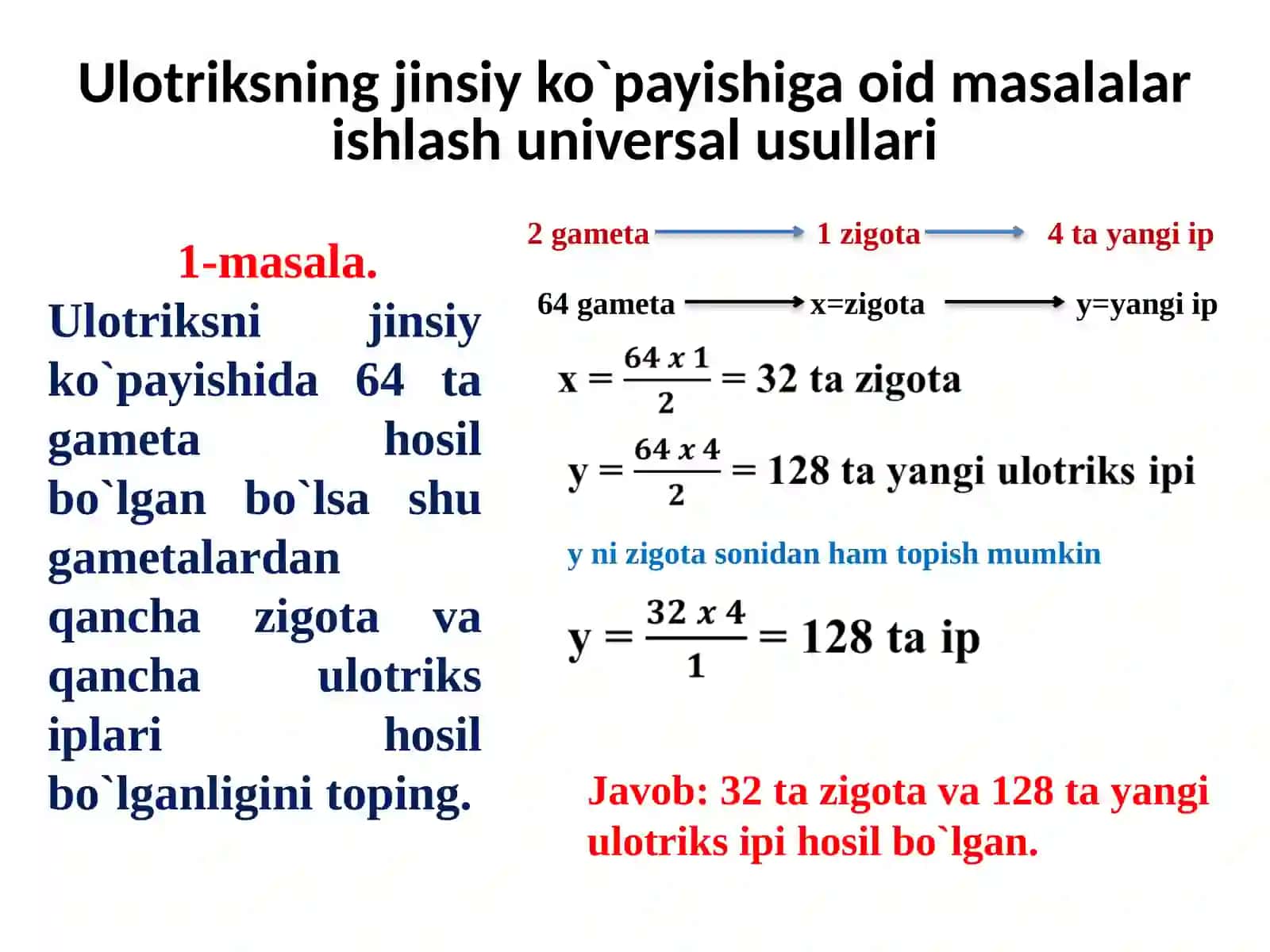 Ulotriksning jinsiy ko`payishiga oid masalalar ishlash universal usullari 3