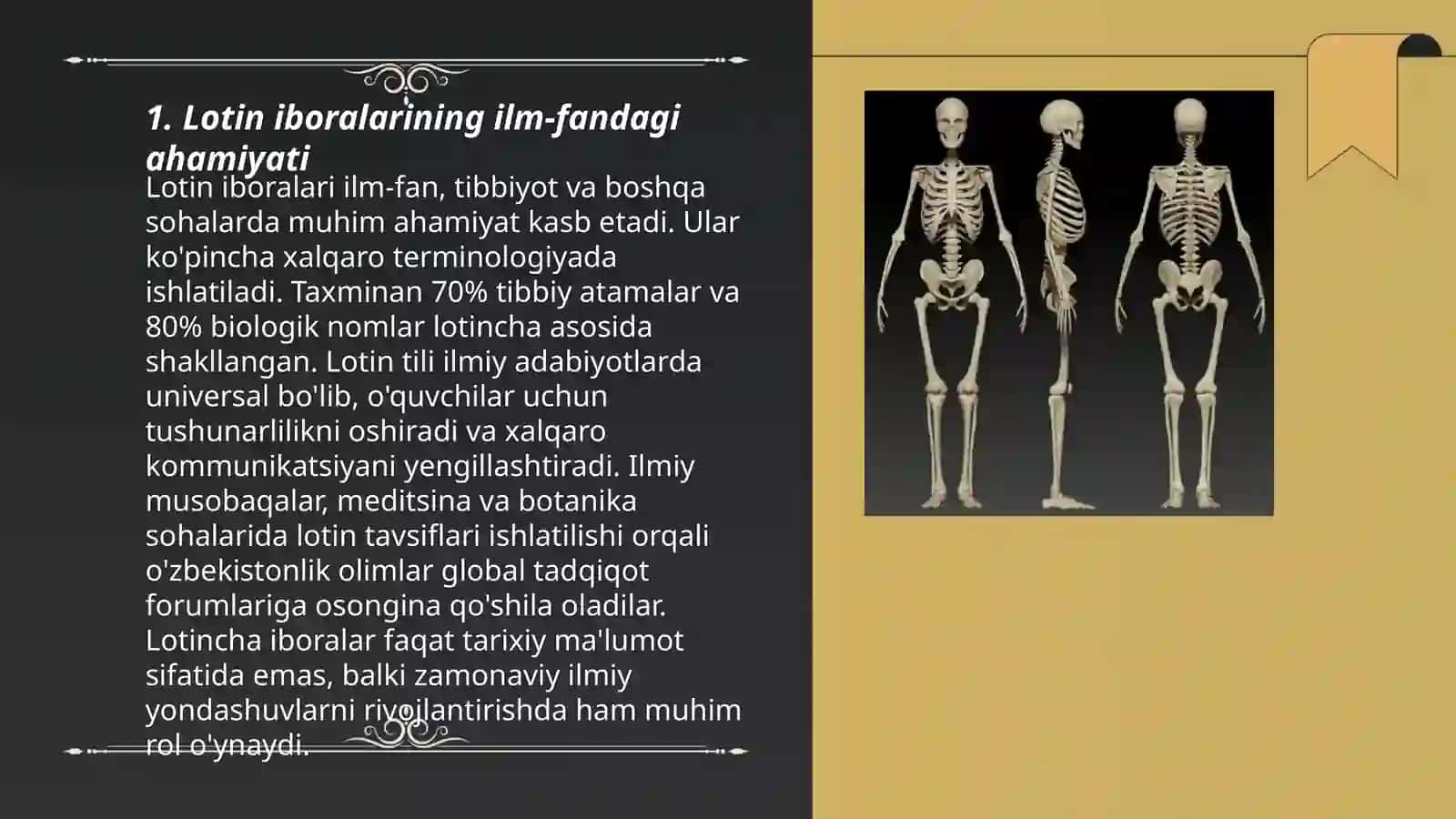 Lotin iboralarining hayotimizdagi barcha jabhalardagi o'rni 3