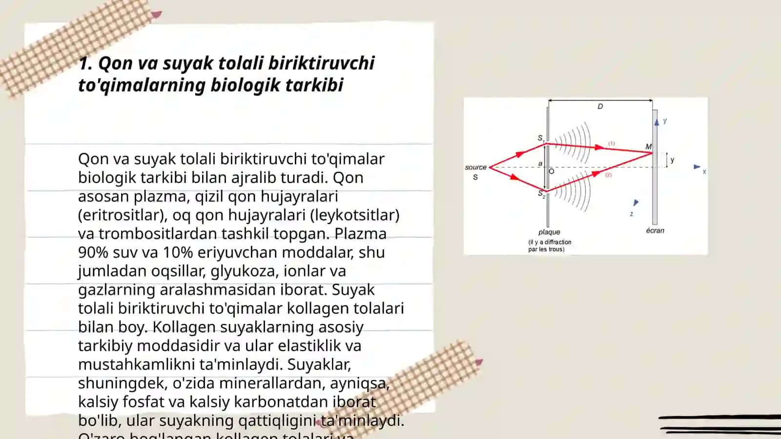 Qon va suyak tolaliy biriktiruvchi tóqimalarning òzaro munosabati 3