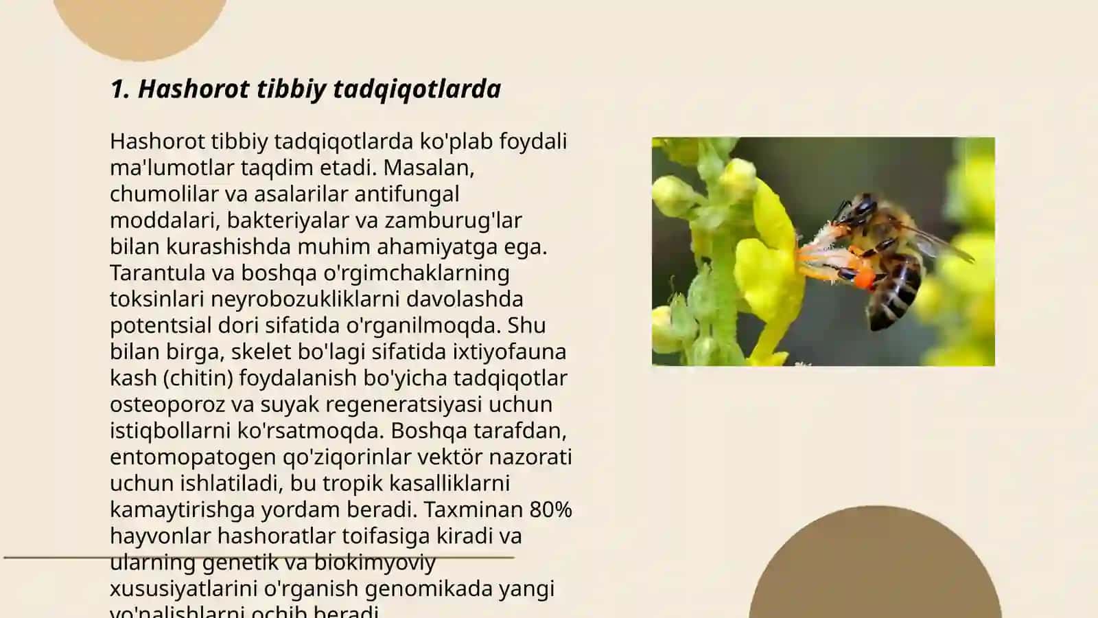 Hashorotlarning tibbiyotdagi ahamiyati 3