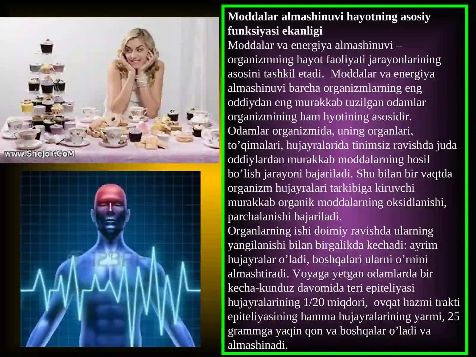 Modda va energiya almashinuvi 3