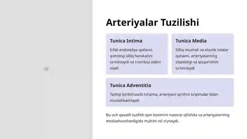 Arterial Tizim Anatomiyasi: Qon Tomirlarining Hayotiy Yoʻli 3