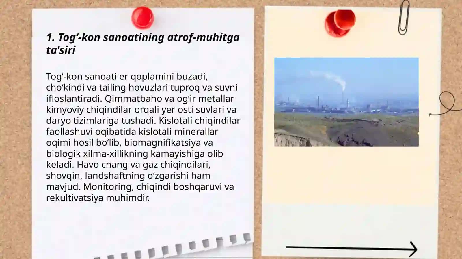 Tog‘-kon, kimyo, metallurgiya sanoati va atrof-muhit muhofazasi 3