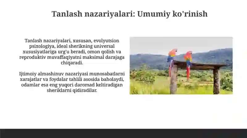 Umr yoʻldoshini tanlash nazariyalari 3
