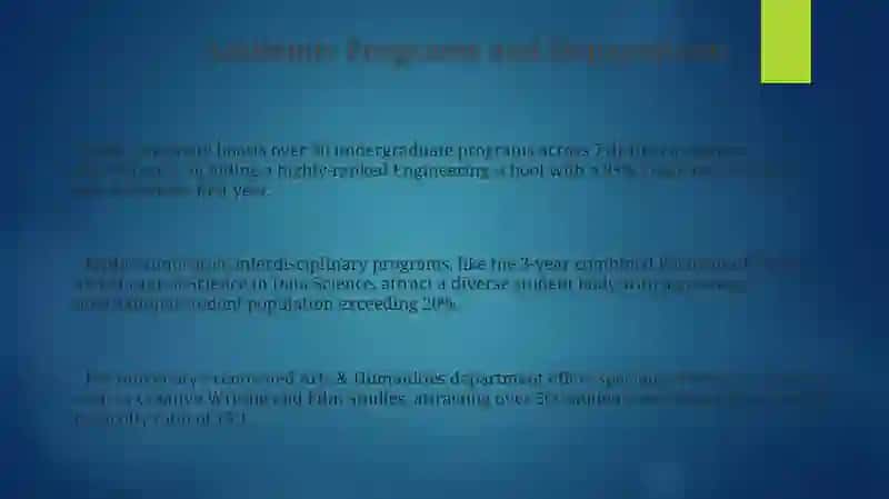TerDU University Academic Programs 3