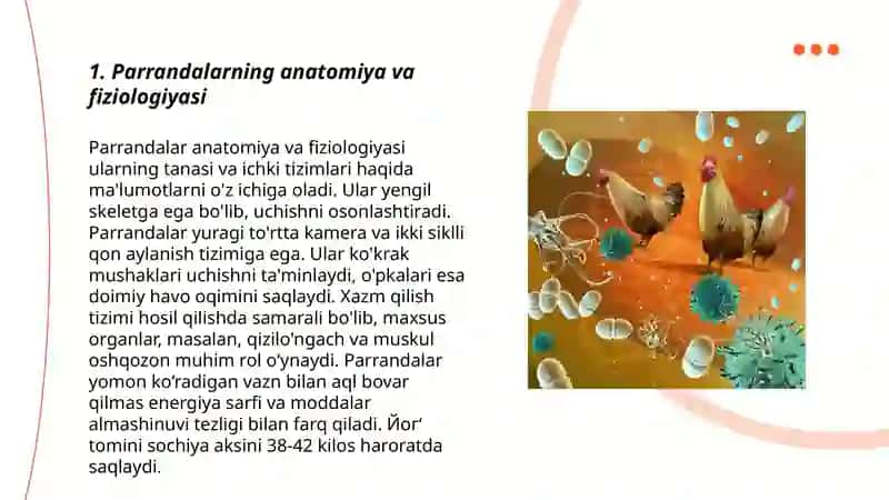 Parrandalarning anatomiya va fiziologiyasi 3