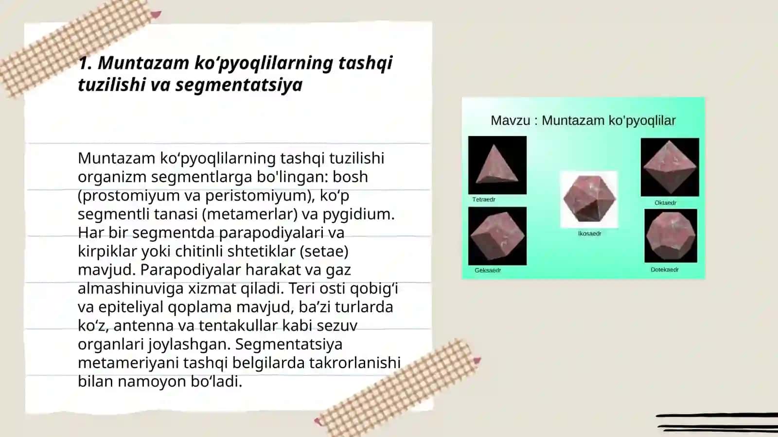 Muntazam koʻpyoqlilar 3-mustaqil taʼlim 3
