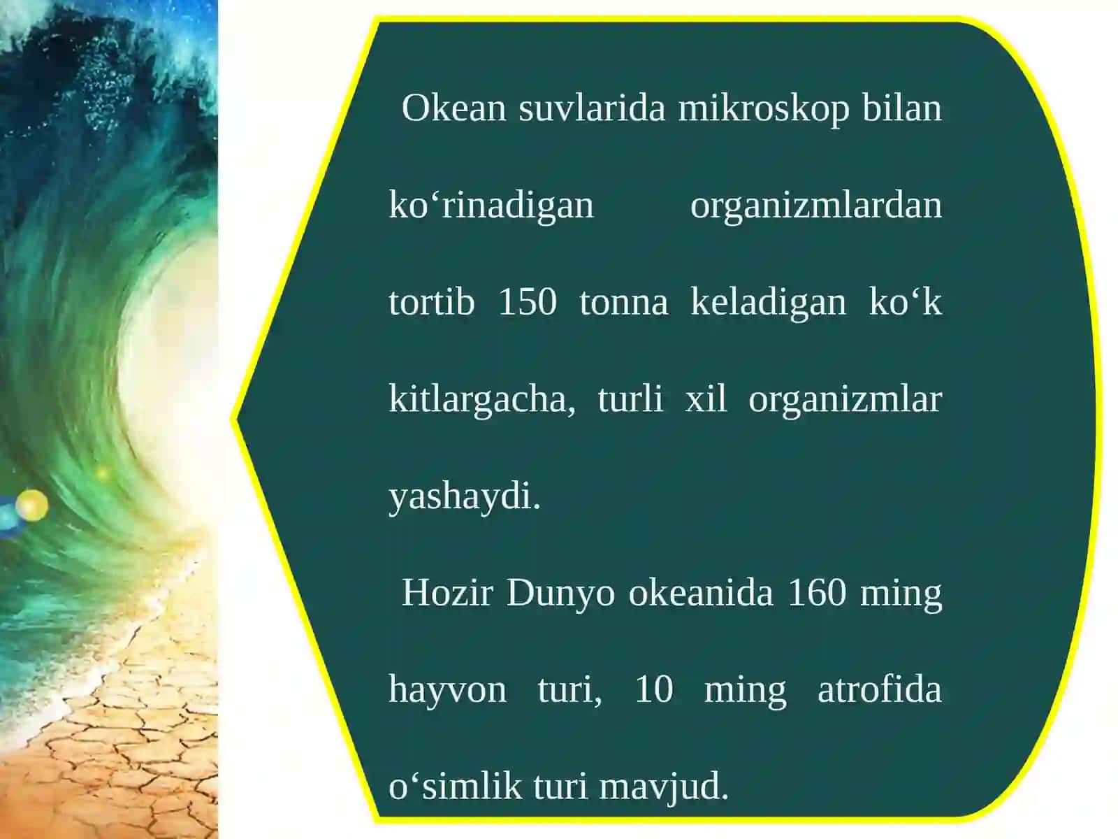 Okean boyliklari, ulardan foydalanish va muhofaza qilish 3