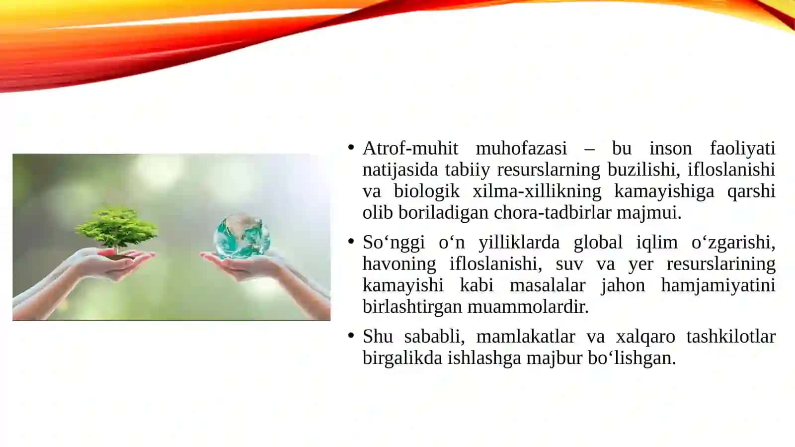 Atrof muhitni muhofaza qilishda jahon mamlakatlari va BMT ning roʻli 3
