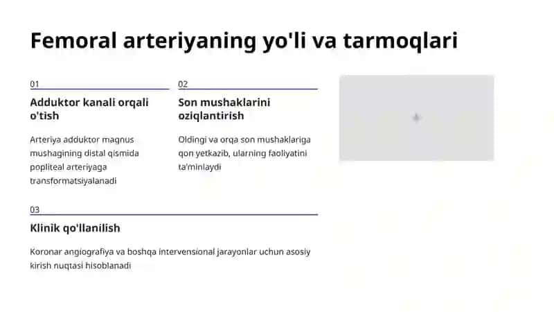 Oyoq arteriyalari: Femoral va Popliteal arteriyalar 3