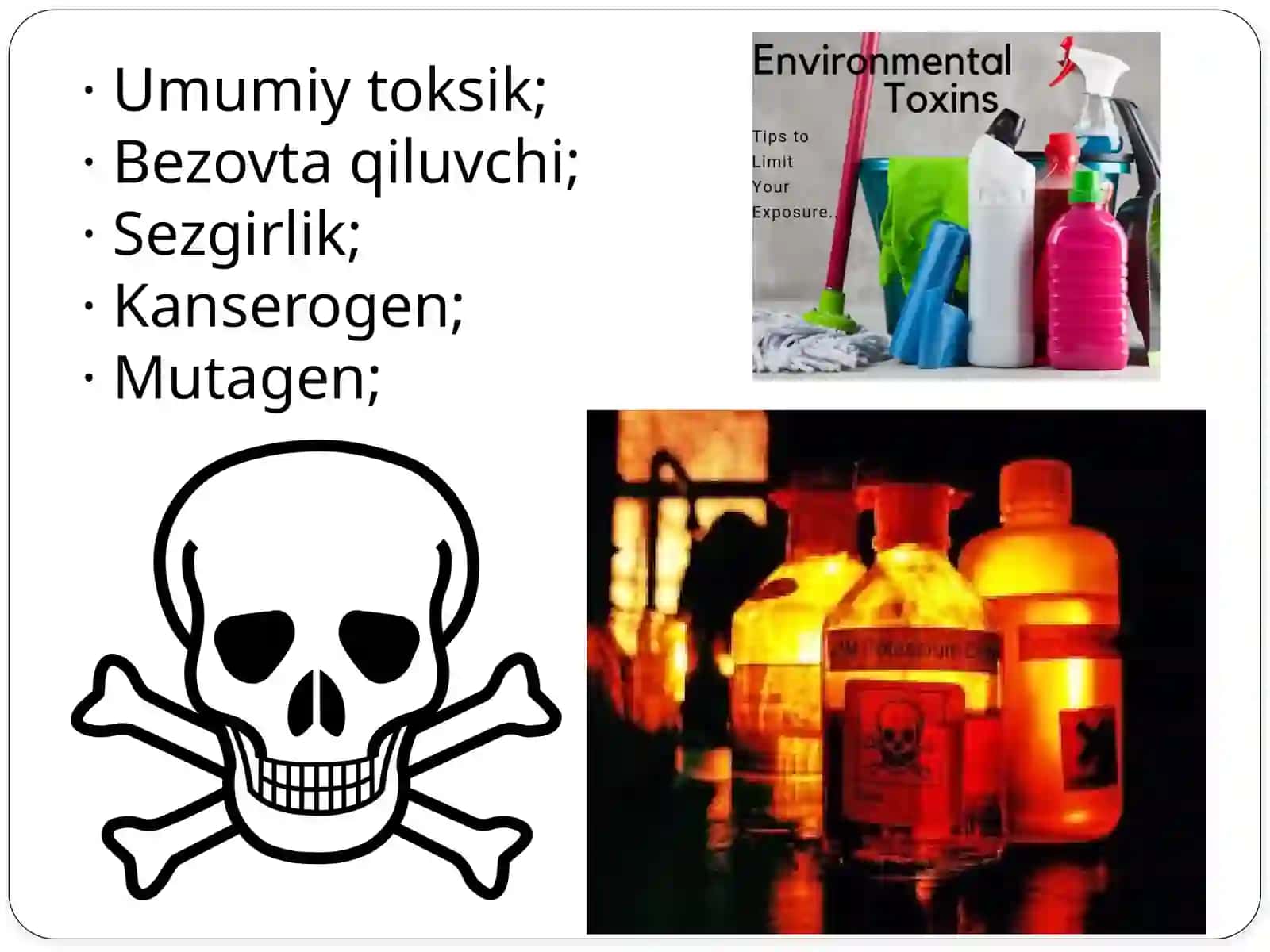 DORIVOR O’SIMLIKLAR YETISHTIRISH VA QAYTA ISHLASH TEXNOLOGIYALARI TA’LIM YONALISHI 3