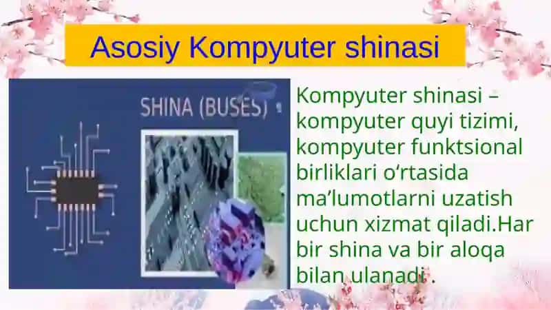 Sistemali shina va ularning turlari 3