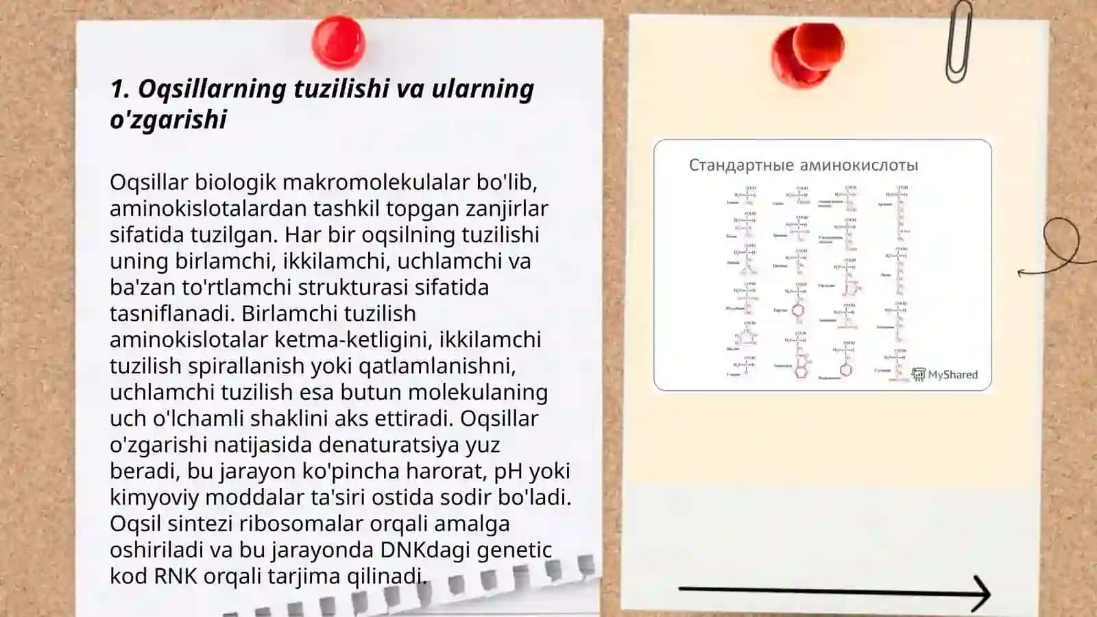 Oqsillarning biokimyoviy o’zgarishi 3