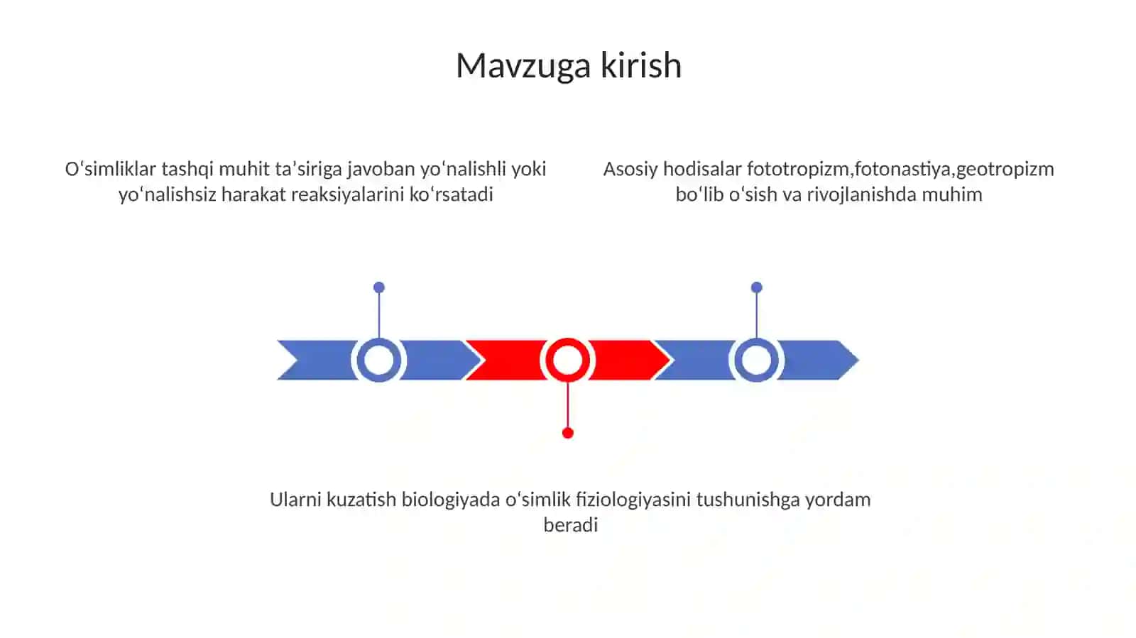 Oʻsimliklardafototropizm,fotonastiya,geotropizmhodisalarinikuzatish 3