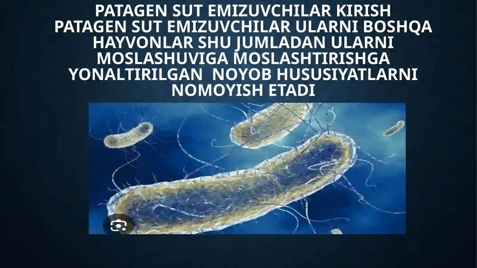 PATAGEN MIKROBLARGA HARAKTERISTIKA EGZO VA ENDO TOKSINLAR ULARGA HARAKTISTIKA 3