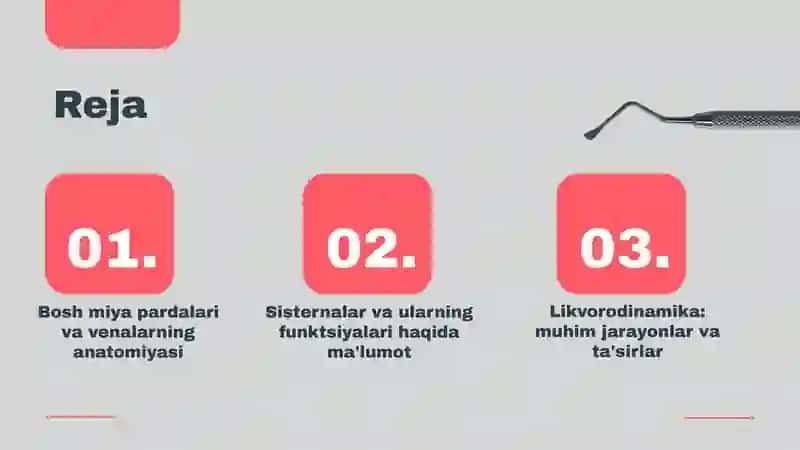 bosh miya pardalarining vena bo'shliqlari va sisternalari.Likvor suyuqligi 3
